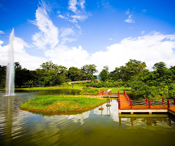 西雙版納優秀線路分類